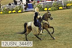 12usn_34465 proof