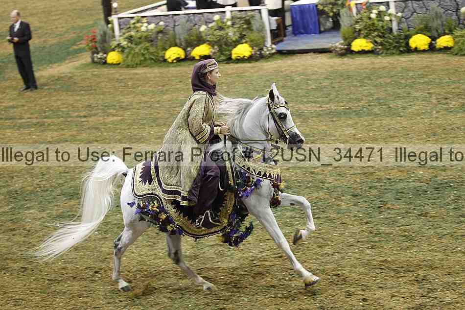 Proof 12usn_34471