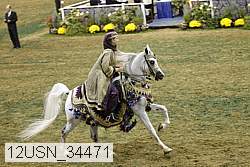 12usn_34471 proof
