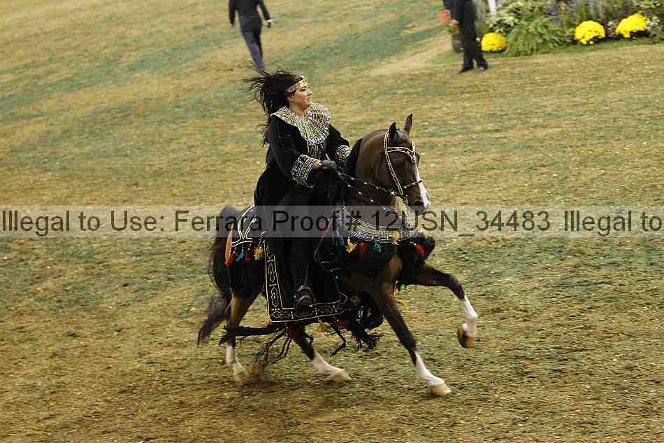 Proof 12usn_34483