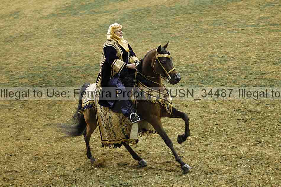Proof 12usn_34487