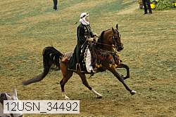 12usn_34492 proof