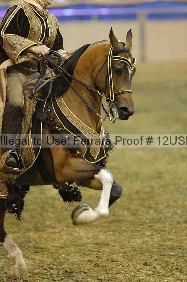 Proof 12usn_34531