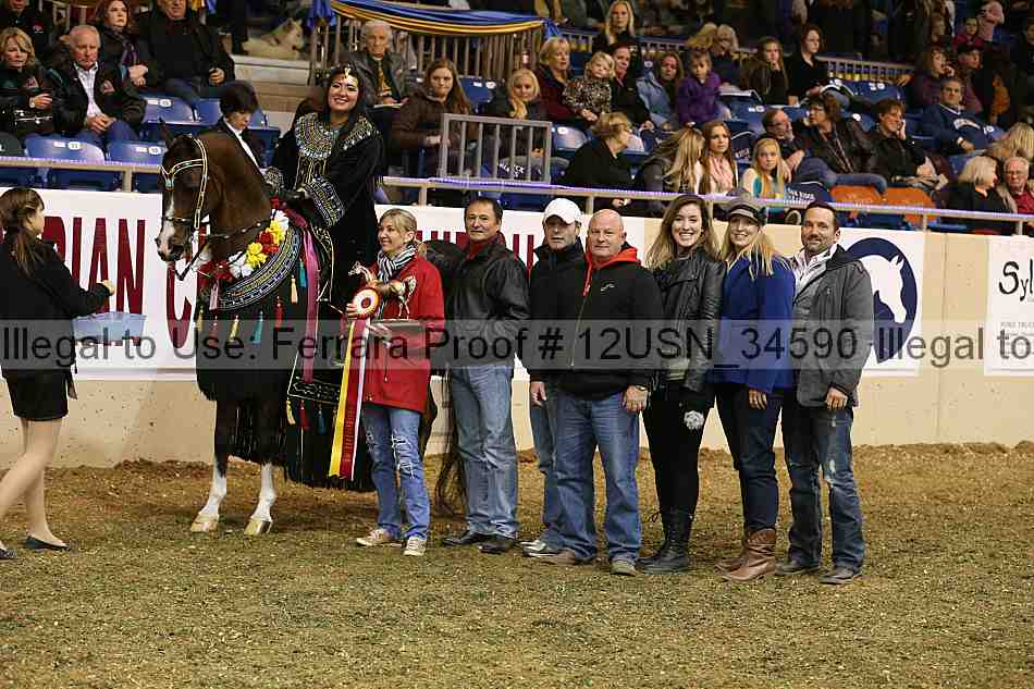 Proof 12usn_34590