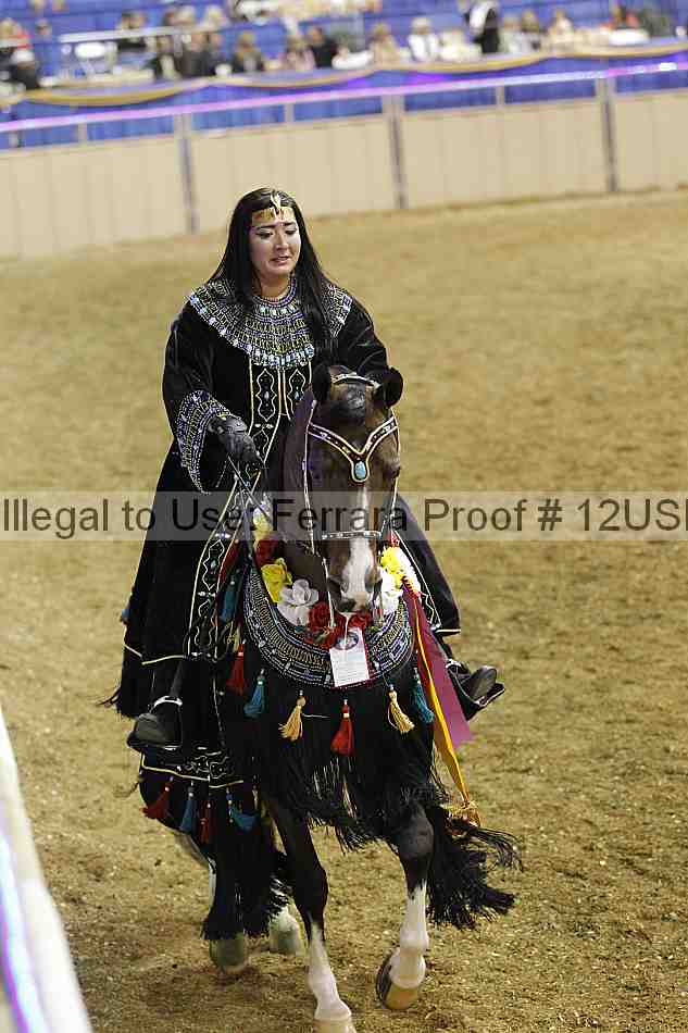 Proof 12usn_34594