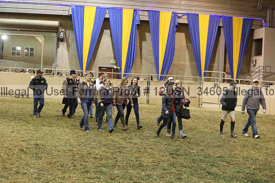 Proof 12usn_34605