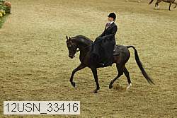 12usn_33416 proof