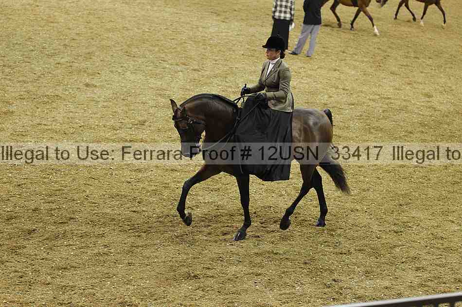 Proof 12usn_33417