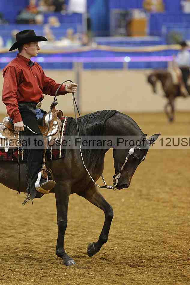 Proof 12usn_14002