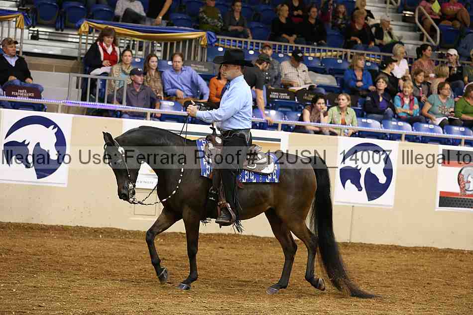 Proof 12usn_14007