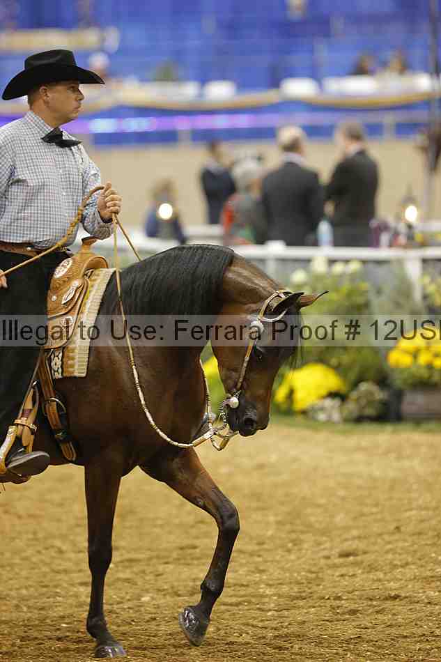 Proof 12usn_14021