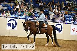 12usn_14022 proof