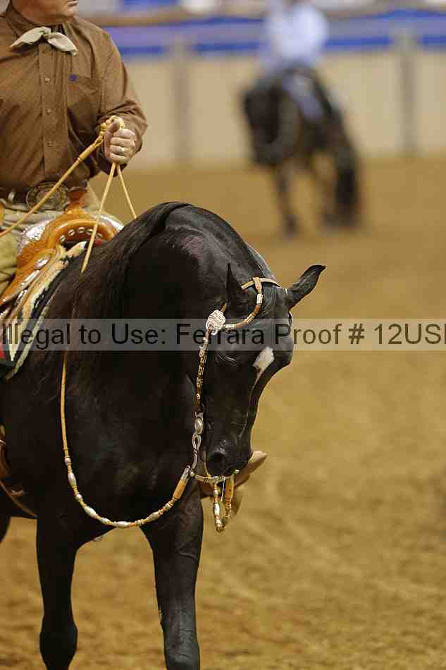 Proof 12usn_14023