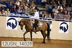 12usn_14028 proof
