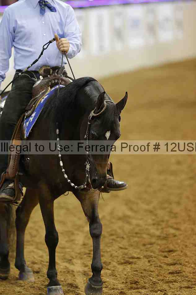 Proof 12usn_14030