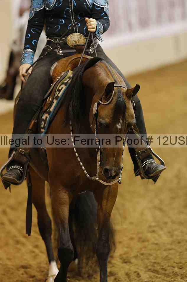 Proof 12usn_14036