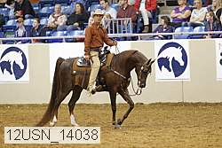 12usn_14038 proof