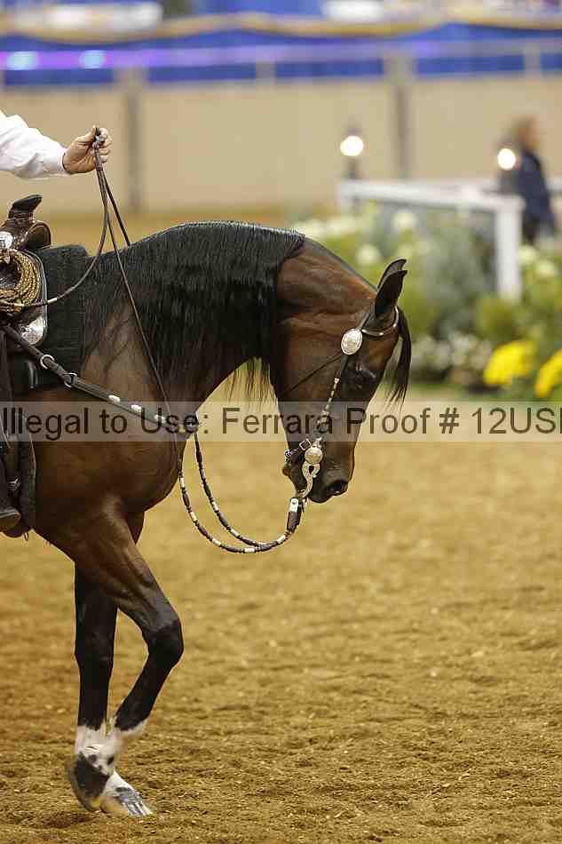 Proof 12usn_14087