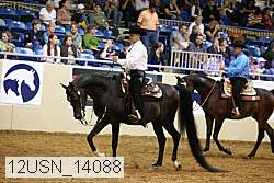 12usn_14088 proof