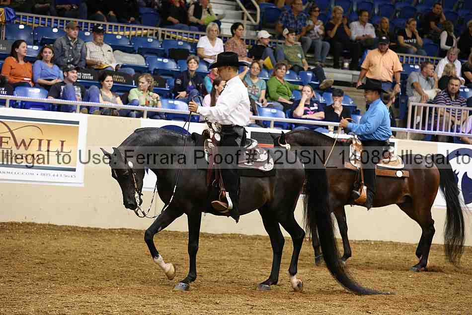 Proof 12usn_14089
