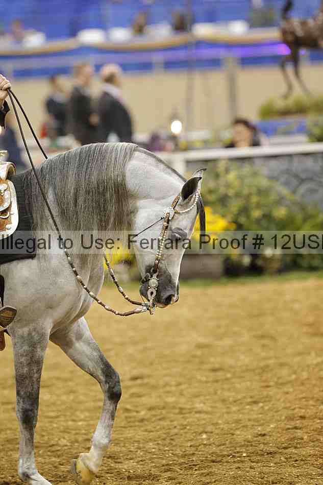 Proof 12usn_14090