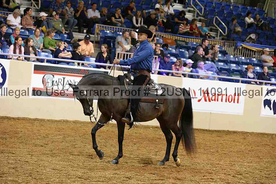 Proof 12usn_14091