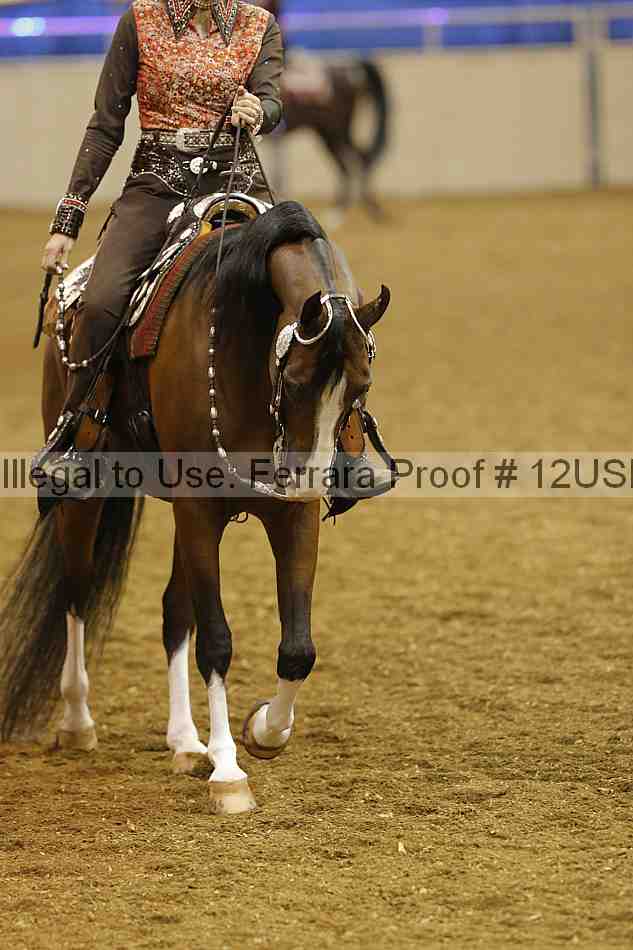 Proof 12usn_14092