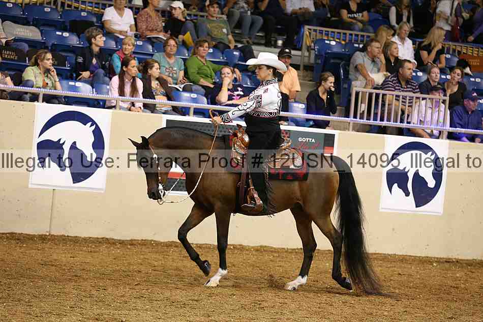 Proof 12usn_14095