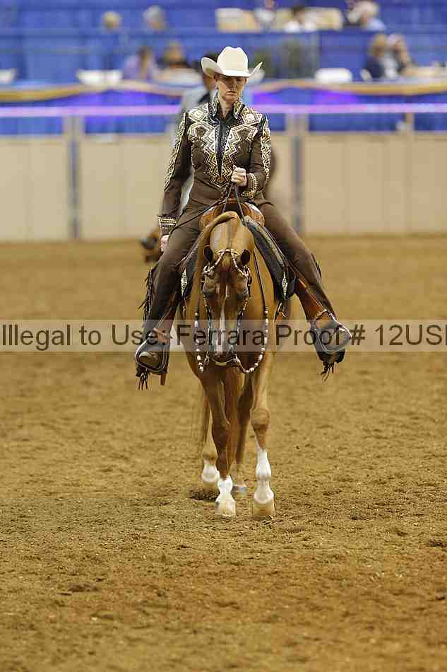 Proof 12usn_14099
