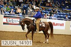 12usn_14101 proof