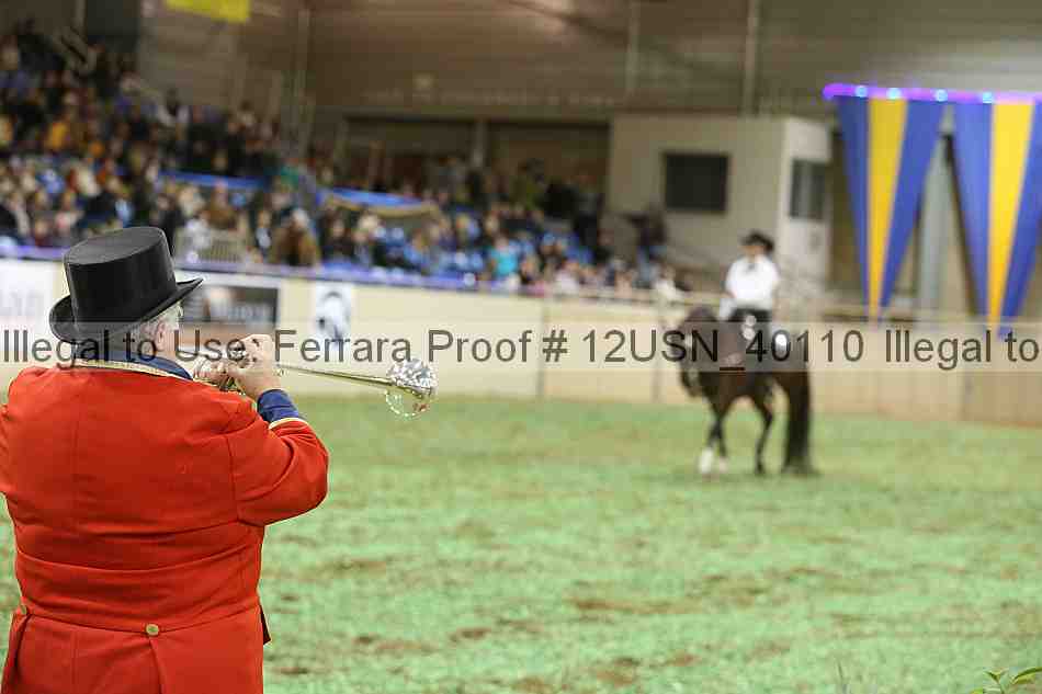 Proof 12usn_40110