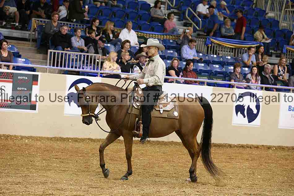 Proof 12usn_22705