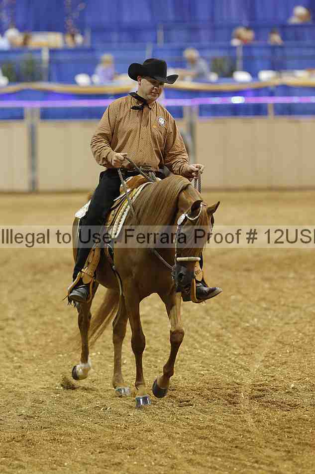 Proof 12usn_22709