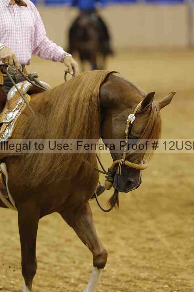 Proof 12usn_22711
