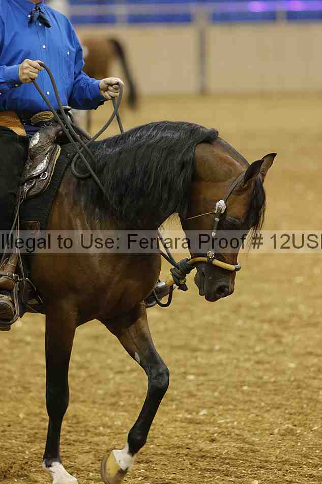 Proof 12usn_22717