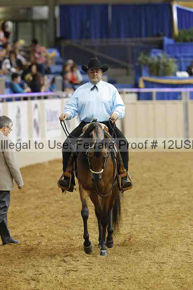 Proof 12usn_22735