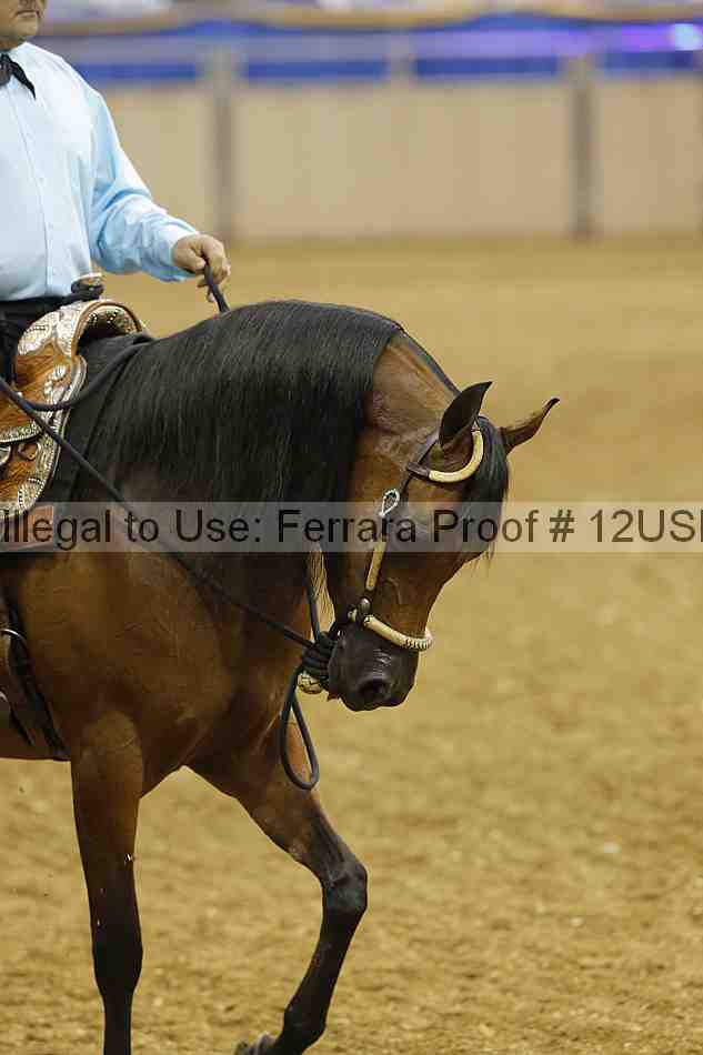 Proof 12usn_22741