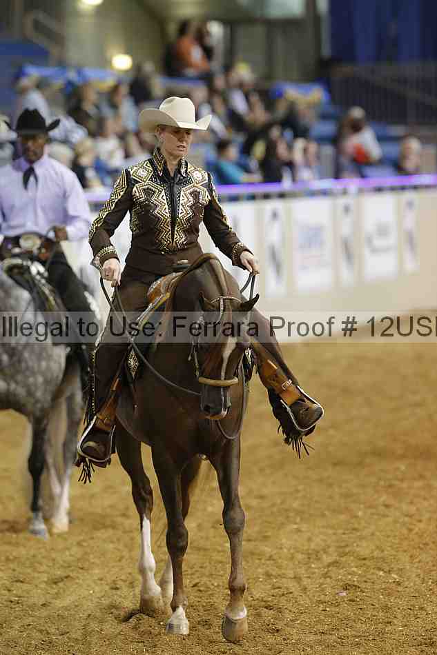 Proof 12usn_22745
