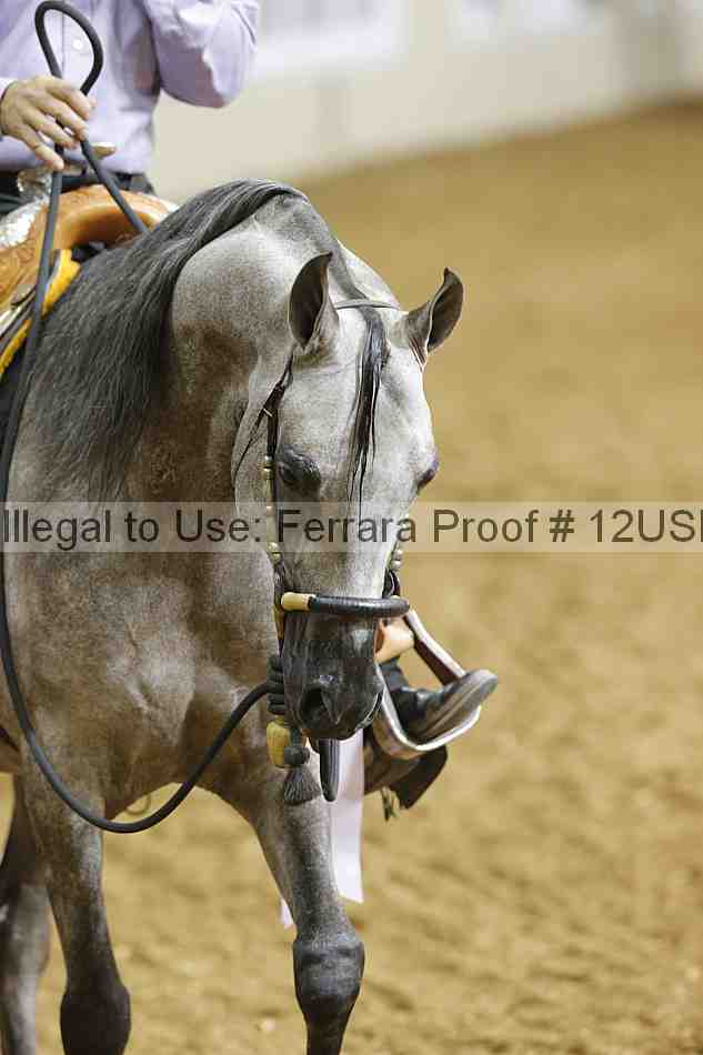 Proof 12usn_22792