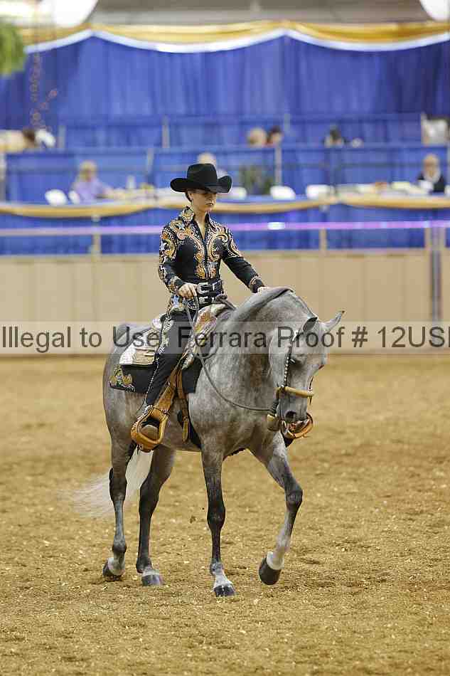 Proof 12usn_22809