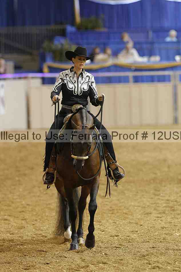 Proof 12usn_22818