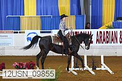 12usn_09855 proof