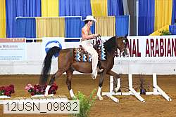 12usn_09882 proof