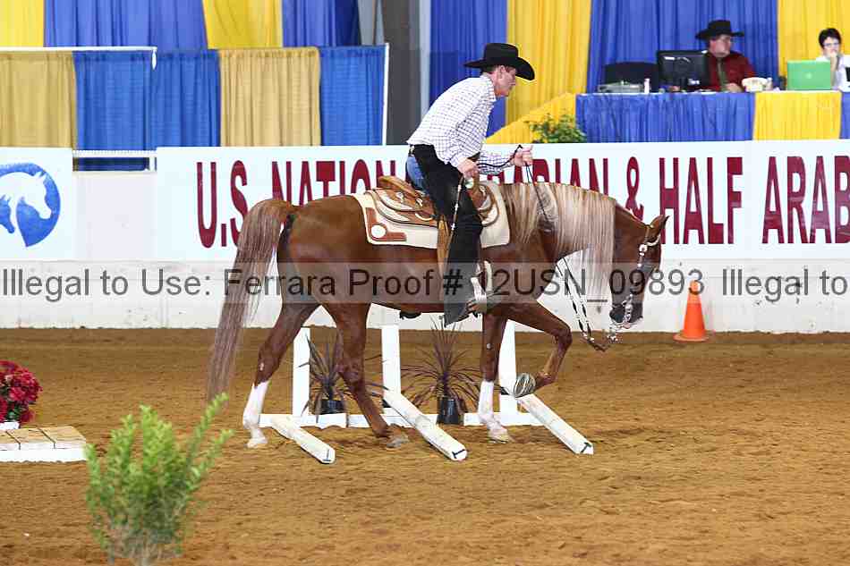 Proof 12usn_09893