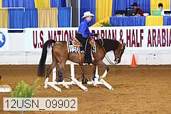 12usn_09902 proof