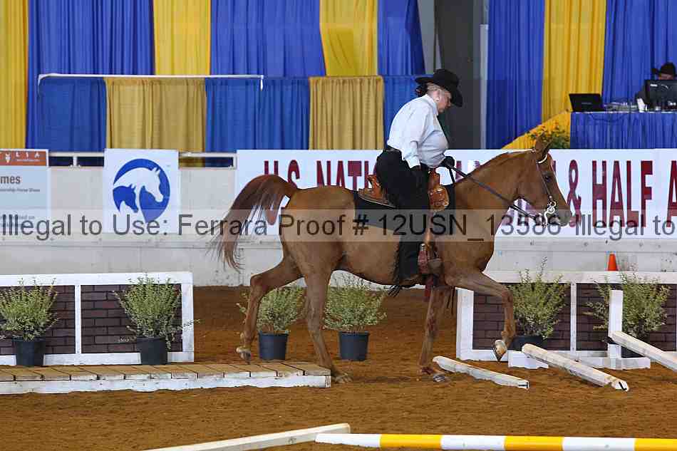 Proof 12usn_13586
