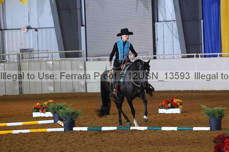 Proof 12usn_13593