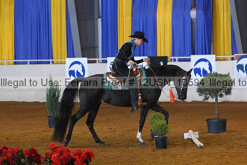 Proof 12usn_13594
