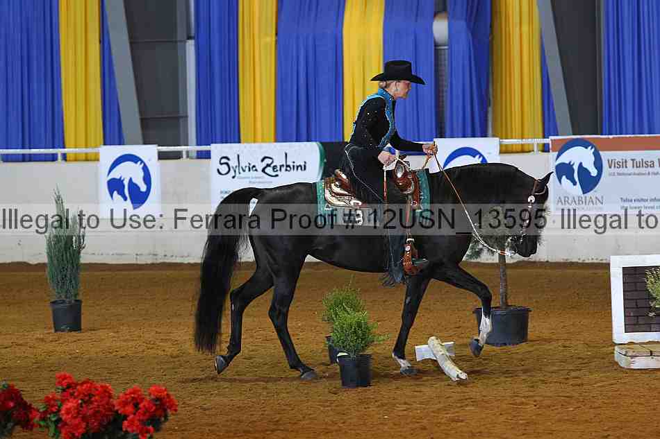 Proof 12usn_13595