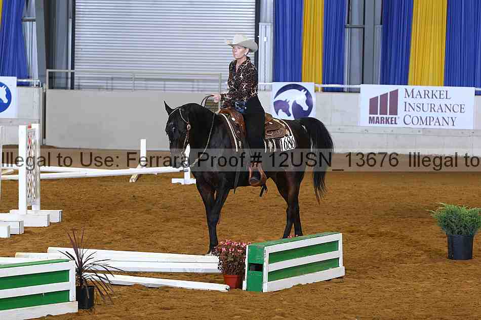 Proof 12usn_13676